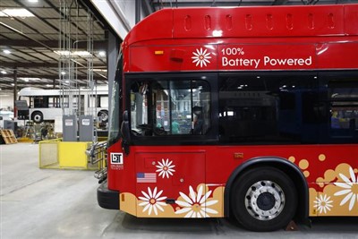 Bus Roro Shipping Kina
